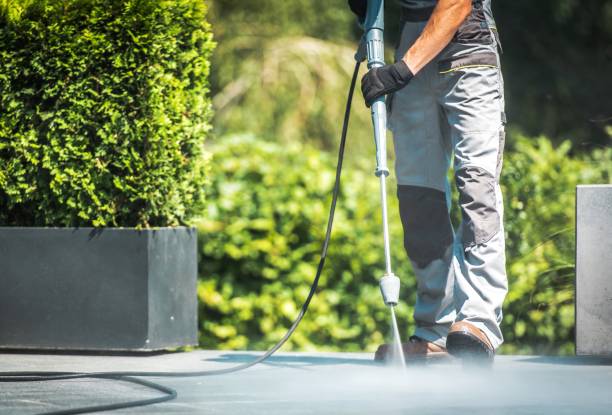 Best Concrete Surface Cleaning in Lake Dunlap, TX