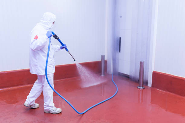 Best Window and Screen Pressure Cleaning in Lake Dunlap, TX